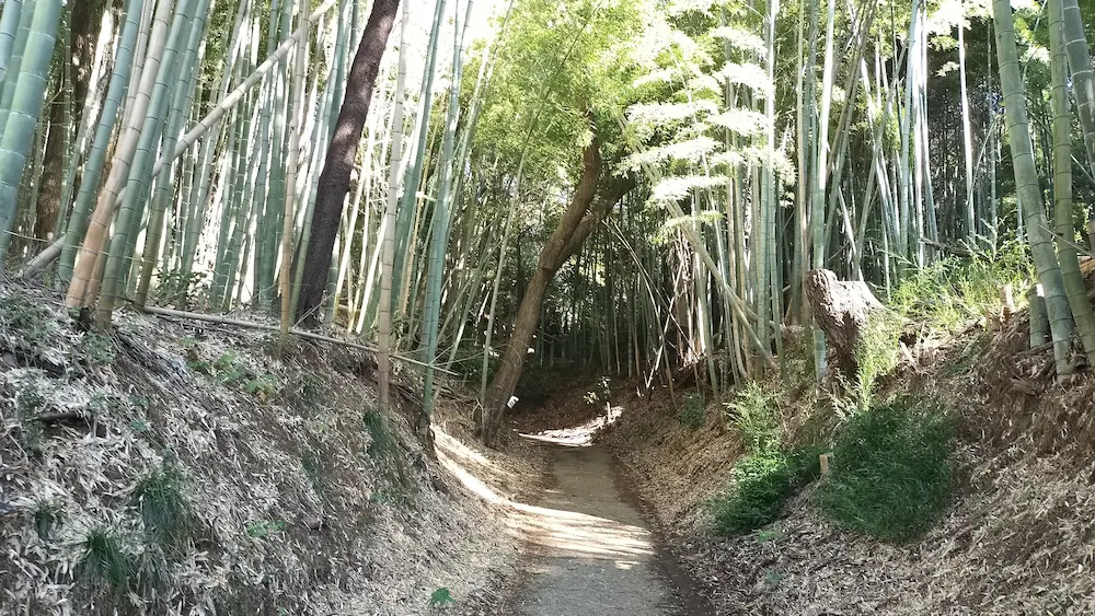 滝山城って公園だよね